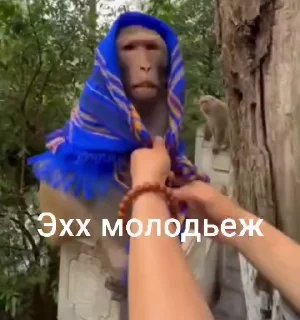 🤩