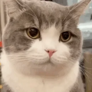 👀