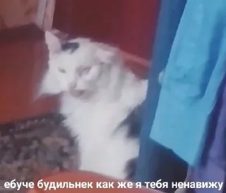 😡