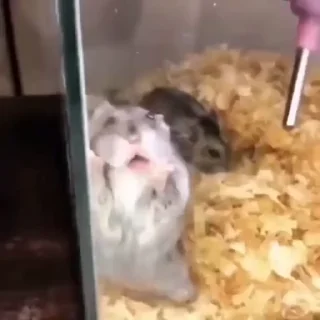 😛