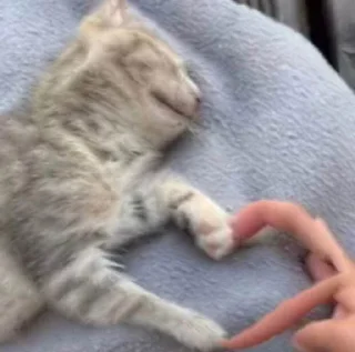 ❤️