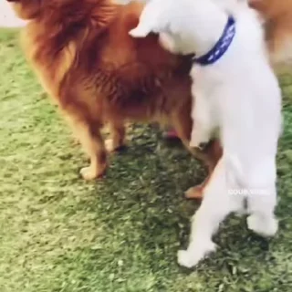 😂