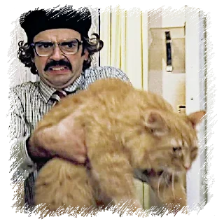 🐱