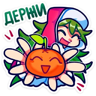 🍊