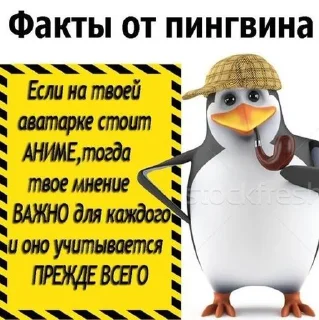 🐧
