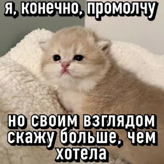 😡