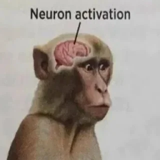 🧠