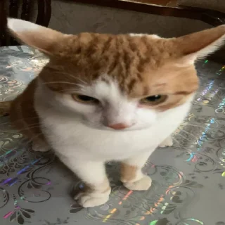 😠