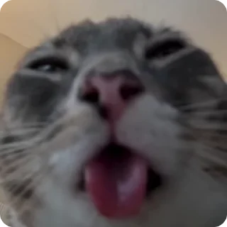 😩