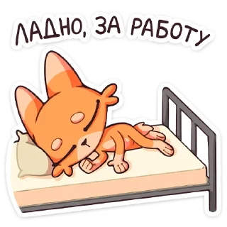 😴