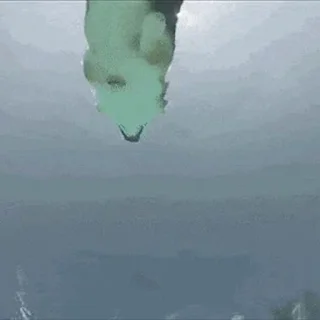 🏊