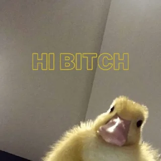 👋