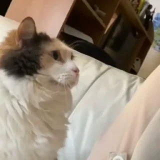 😐