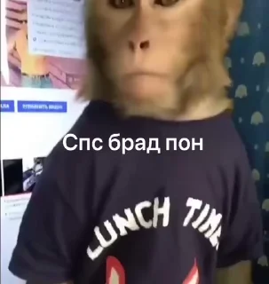 🤝