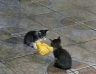 🤝