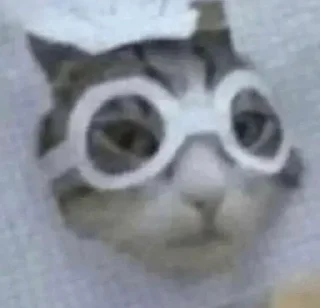 🤓