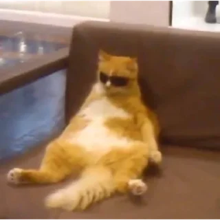 😎