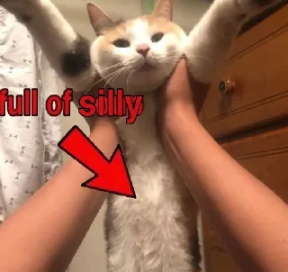 🤰