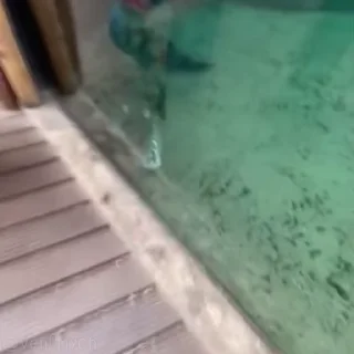 🤪