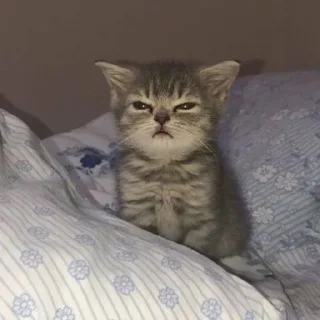 😓