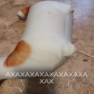 😂