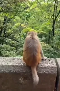 🤩