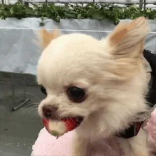 😏