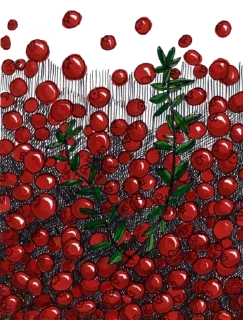 🍒