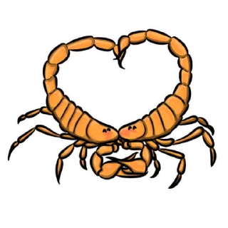 💛