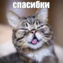 😊