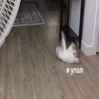 😥