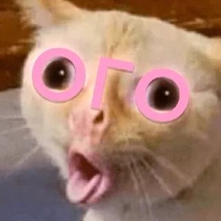 😳
