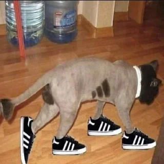 💪