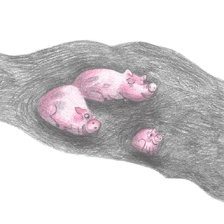 🐷