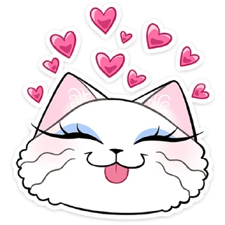 🐱