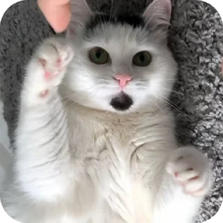 🤜