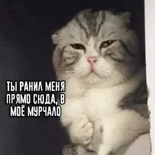 😞