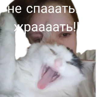😜