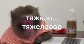 🌟