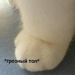 😺