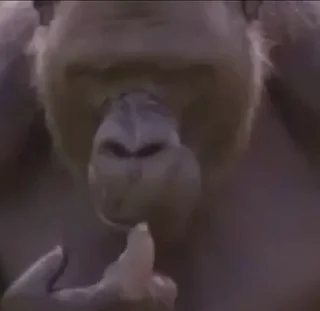 🤔
