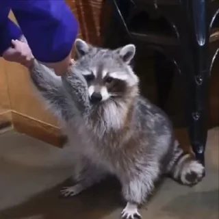 😣