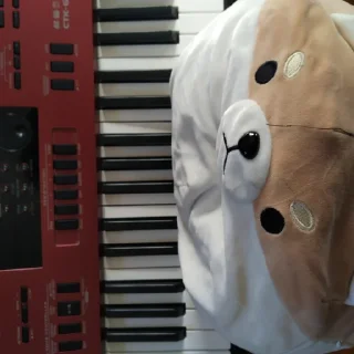🎹