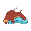 😴