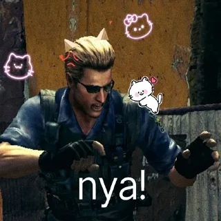 😼