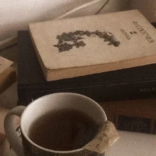 🌟