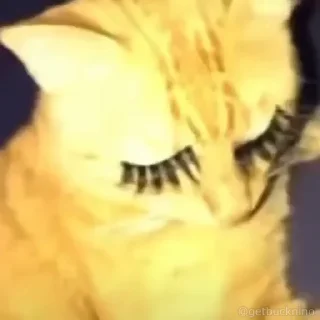 🥸