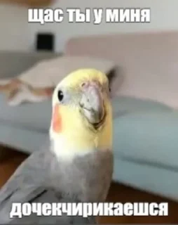 🥲