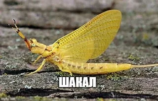 😖