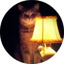 🐱